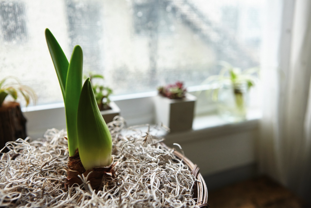 Illuminate Your Underground: 5 Brilliant Ways to Brighten Your Basement